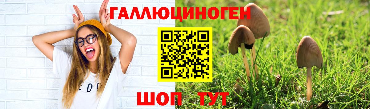 Галлюциногенные грибы Cubensis  магазин продажи   Псилоцибиновые грибы Psilocybe  Лабинск  Вход с VPN 