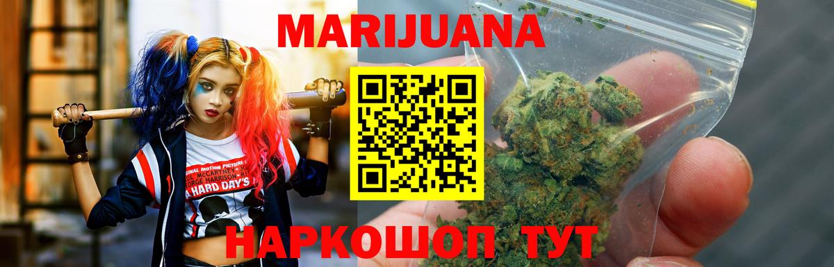 Бошки Шишки планчик Лабинск